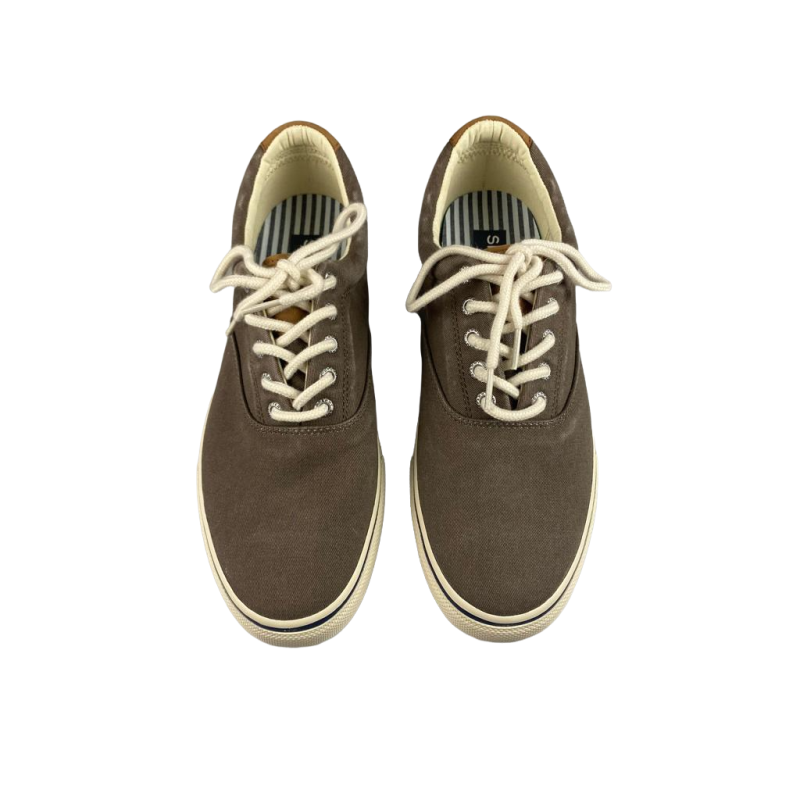 Scarpa uomo Sneakers Sperry - Striper LL CVO - Cioccolato